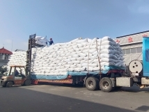 把握機(jī)遇、鉚足干勁、承勢(shì)而上
