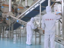 2025年的第一個(gè)月，承德亞歐果仁有限公司在山杏產(chǎn)業(yè)的道路上持續(xù)奮進(jìn)，展現(xiàn)出蓬勃的發(fā)展活力。